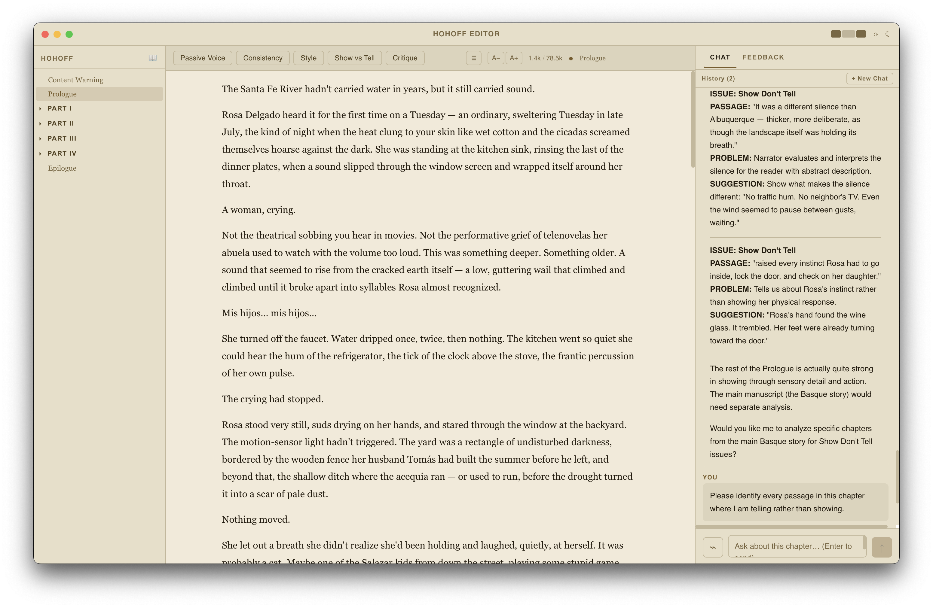 Hohoff Editor — day theme